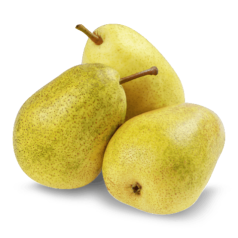 Груша